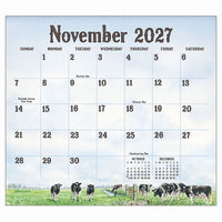 Cows In The Meadow 2027 | Wall Calendar