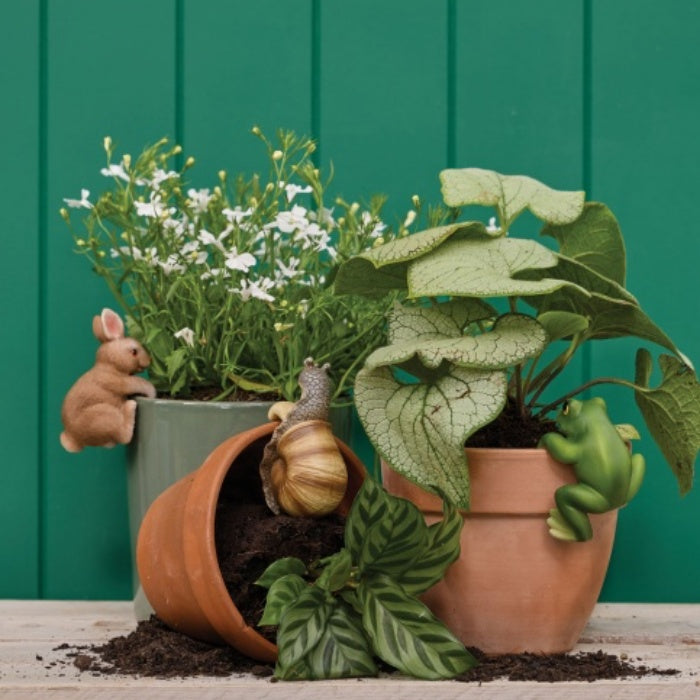 Animal Pot Sitters Assorted