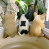 Assorted Frenchie Pot Sitters
