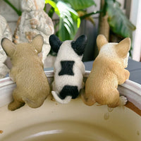 Assorted Frenchie Pot Sitters