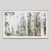 Bushland | Framed Print