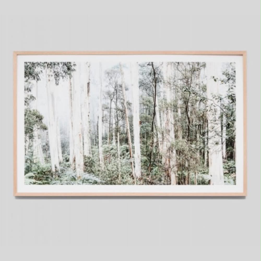 Bushland | Framed Print