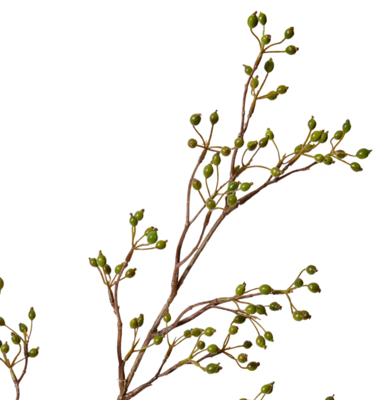 Rosehip Mini Spray | Green