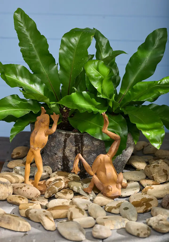 Frogs Cast Iron