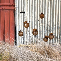 Stake Poppy Head Rust