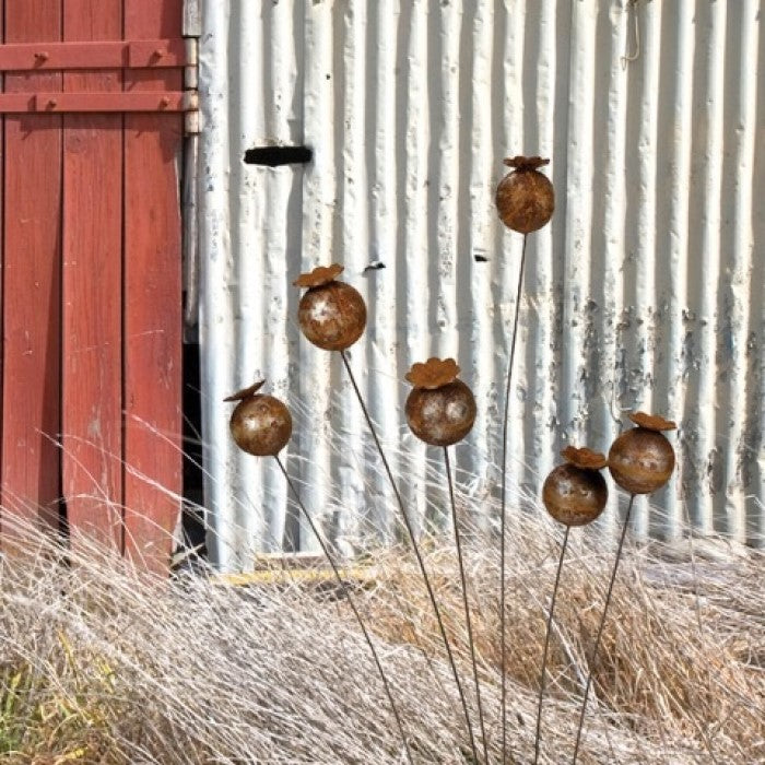 Stake Poppy Head Rust