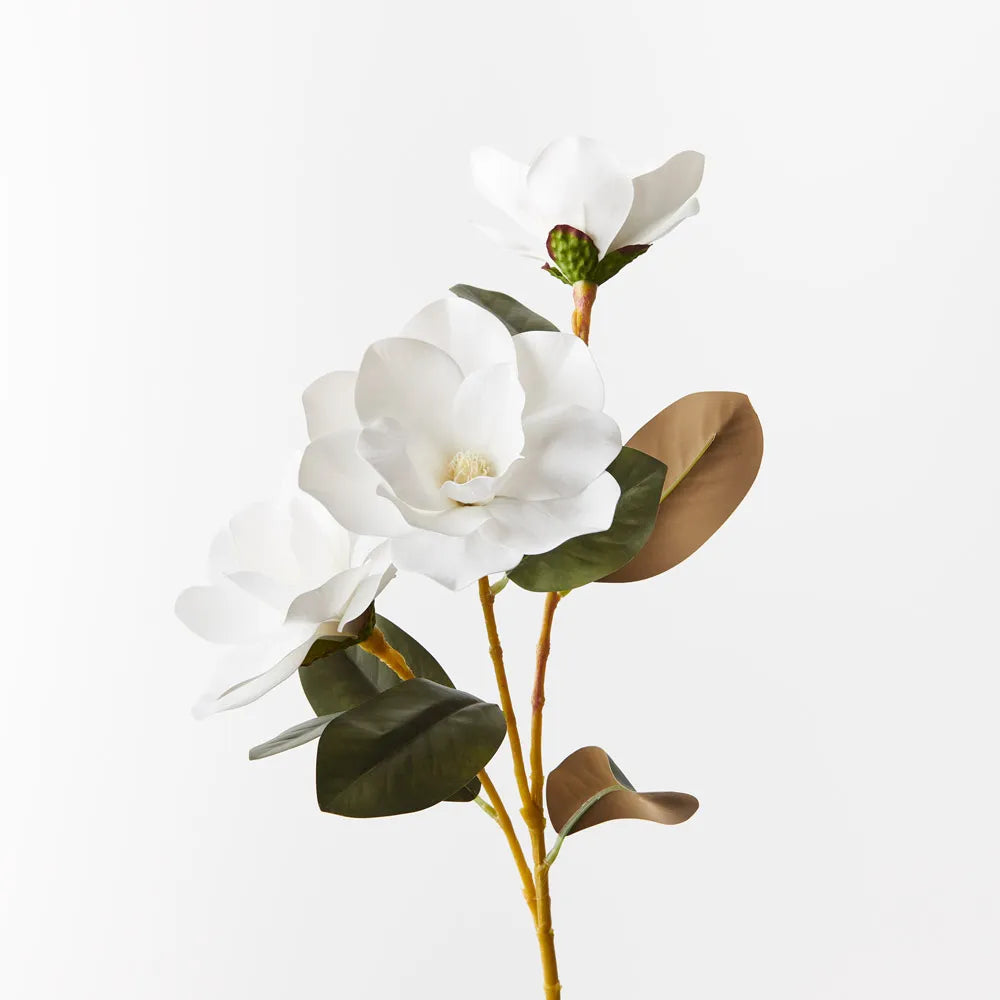 Magnolia Spray | White