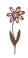 Forget Me Not Stake Rust