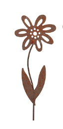 Forget Me Not Stake Rust