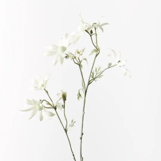 Flannel Flower Spray | Cream Green