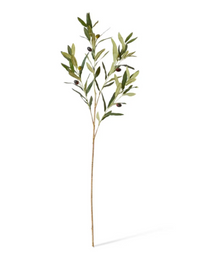 Olive Spray | Grey Green