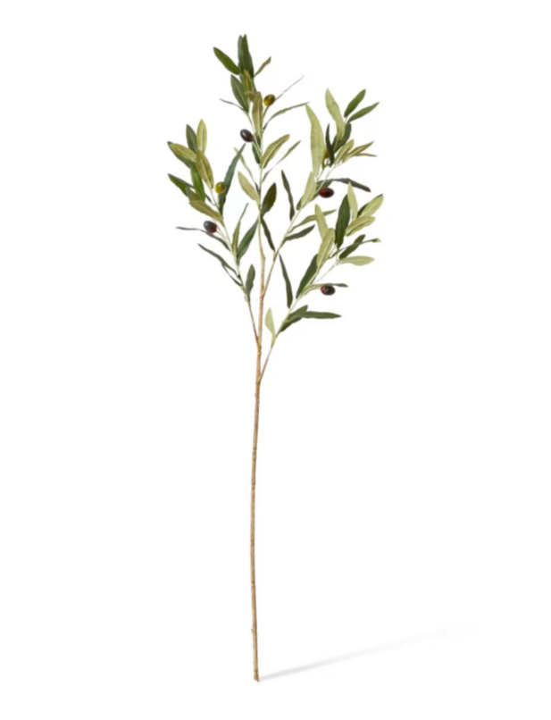 Olive Spray | Grey Green
