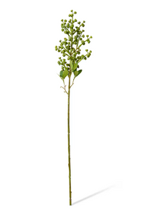 Eucy Nut Pick
