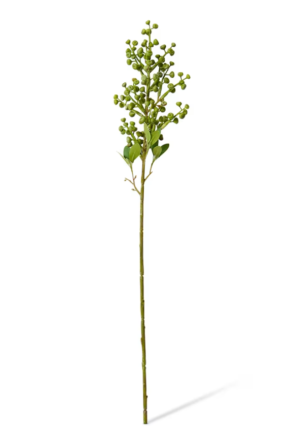 Eucy Nut Pick