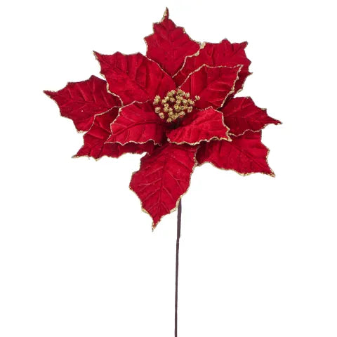 Poinsettia Pick with Trim Velvet | Red/Gold