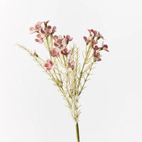 Wax Flower Dusty Mauve