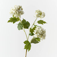 Hydrangea Spray | White Green