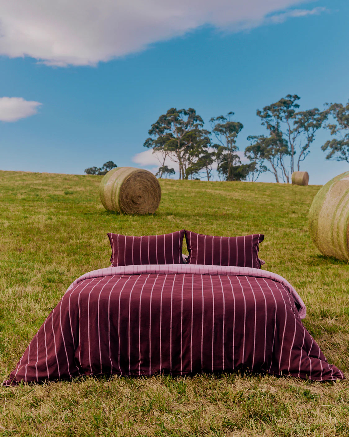 Quilt Cover | Mulberry/Aster