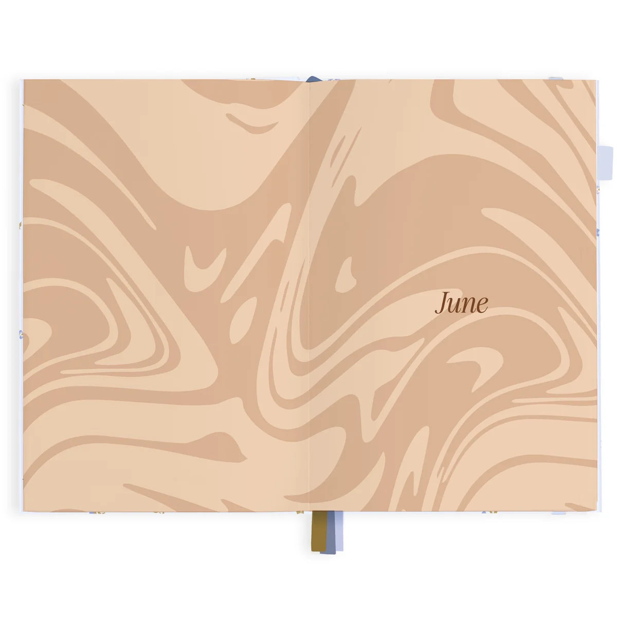 2027 A5 Horizontal Planner | Cornflower