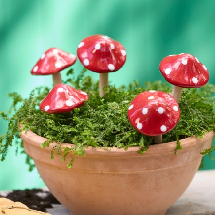 Mushroom Ceramic | Red Assort