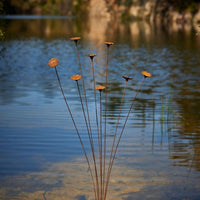 Stake Flower Spray 8 Head