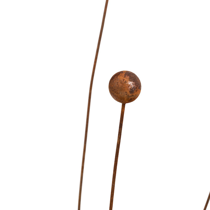Stake Billy Button Rust