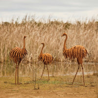 Emu Rust | 3 Size Options