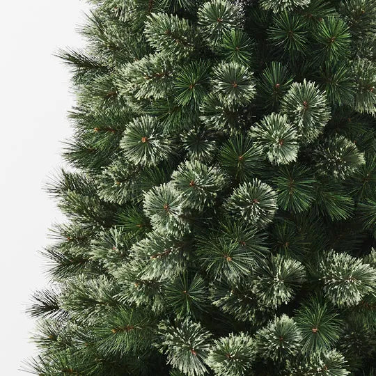 Tree Pine Alaskan | Green