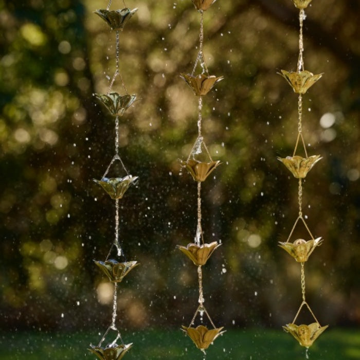Rainchain Lily