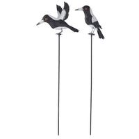 Magpies On Stakes