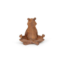 Yoga Frog Sitting Cast Iron
