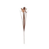 Stake Iris Rust