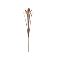 Stake Iris Rust