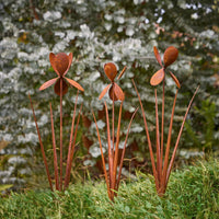 Stake Iris Rust