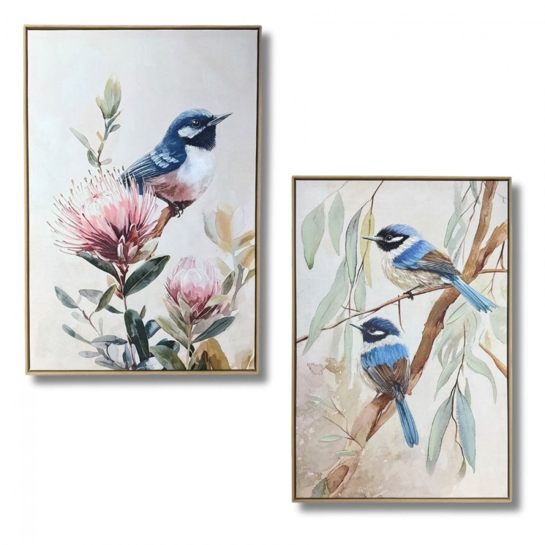 Blue Wren Garden Hand Painted Prints