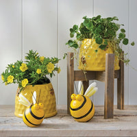 Buzz Bee