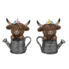 Resin Highland Cow on Watering Pot