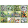 Songbirds 2026 | Wall Calendar