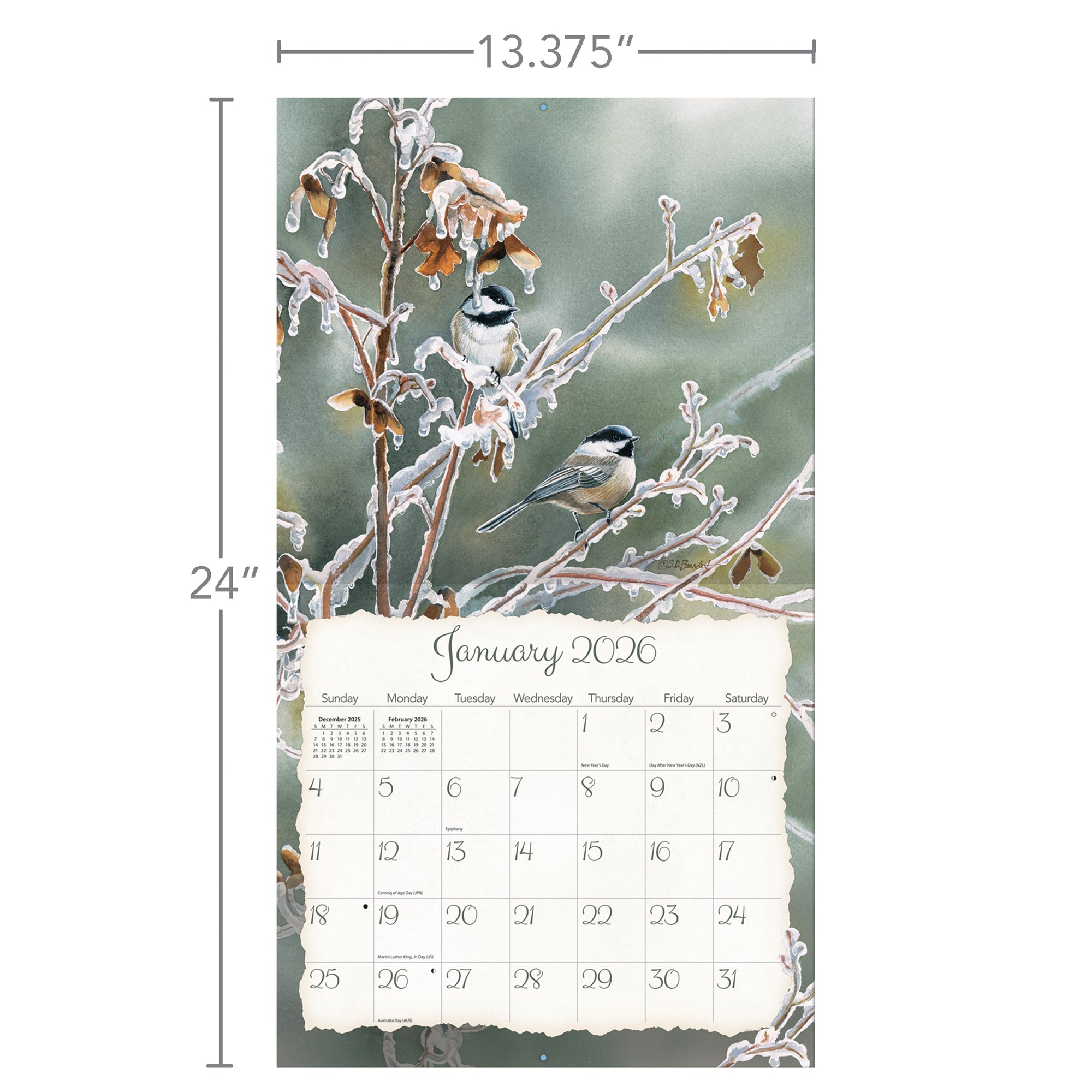 Songbirds 2026 | Wall Calendar