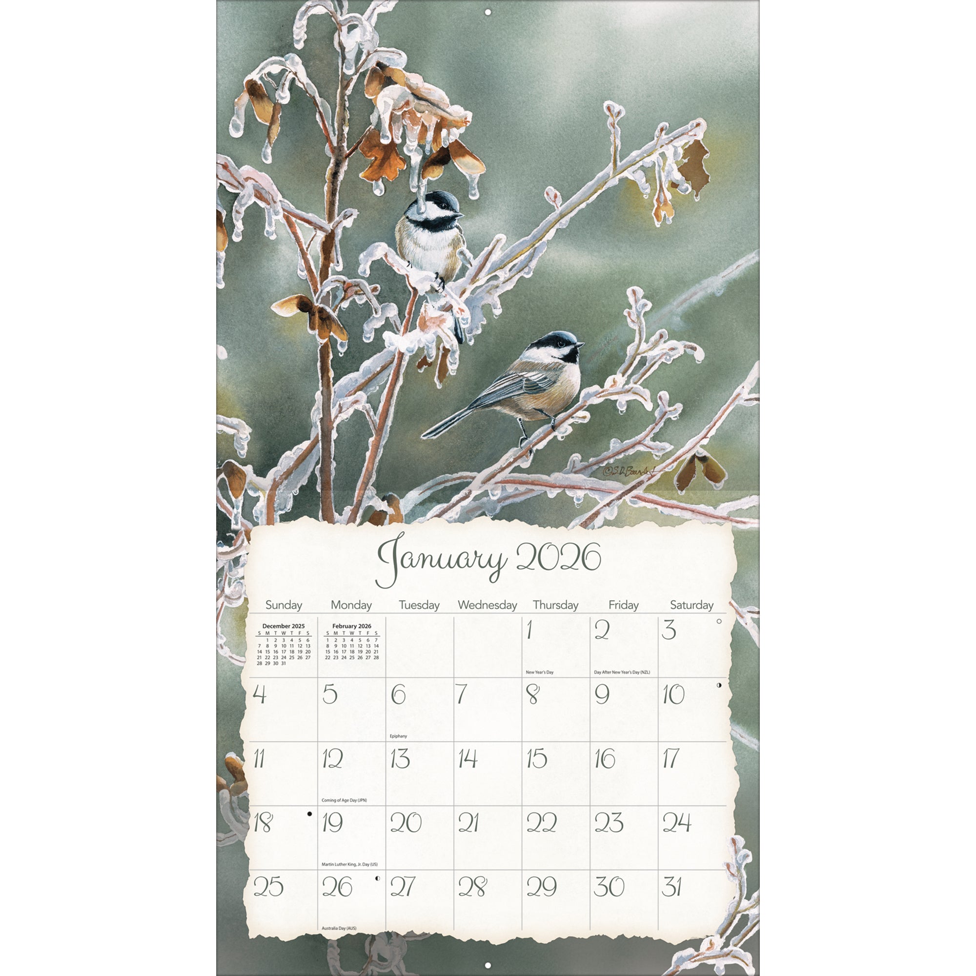 Songbirds 2026 | Wall Calendar
