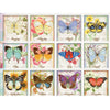Butterflies 2026 | Wall Calendar