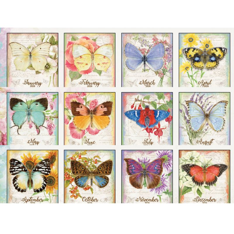 Butterflies 2026 | Wall Calendar