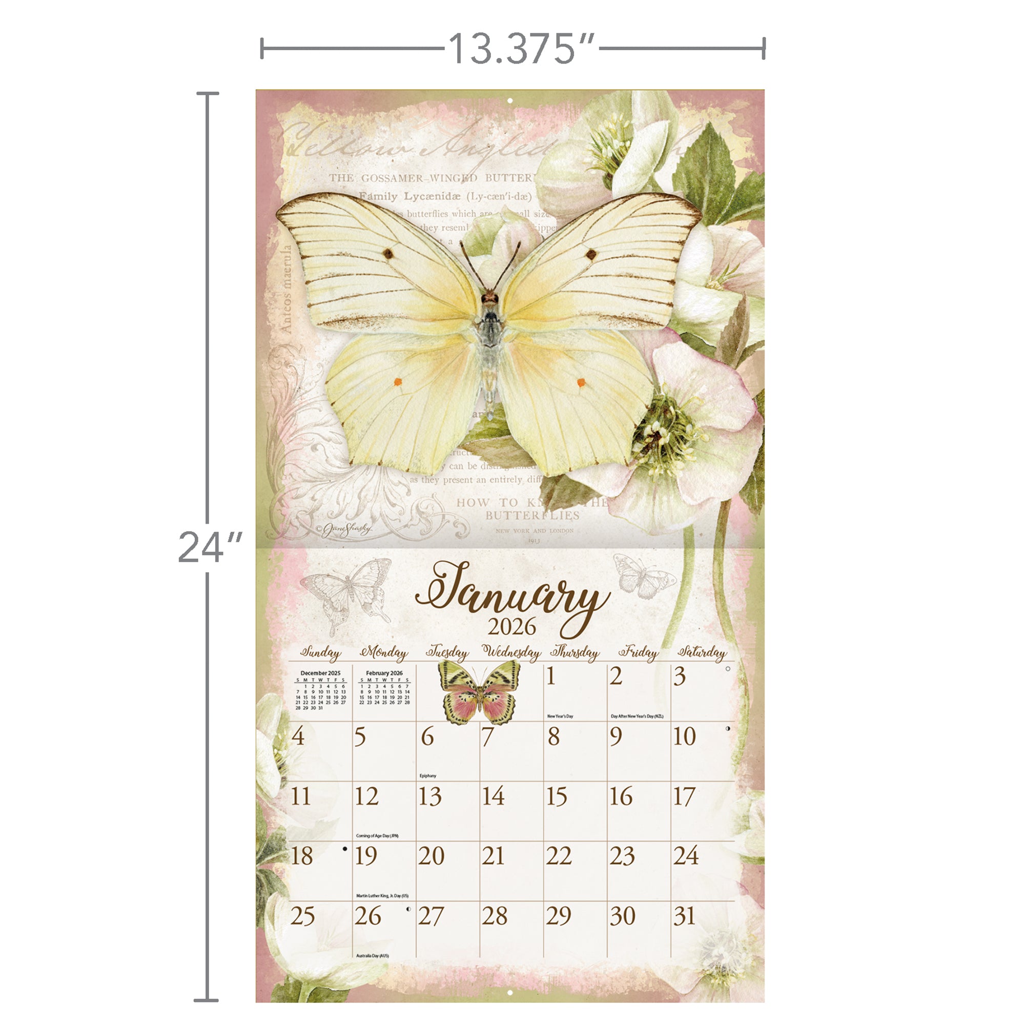 Butterflies 2026 | Wall Calendar