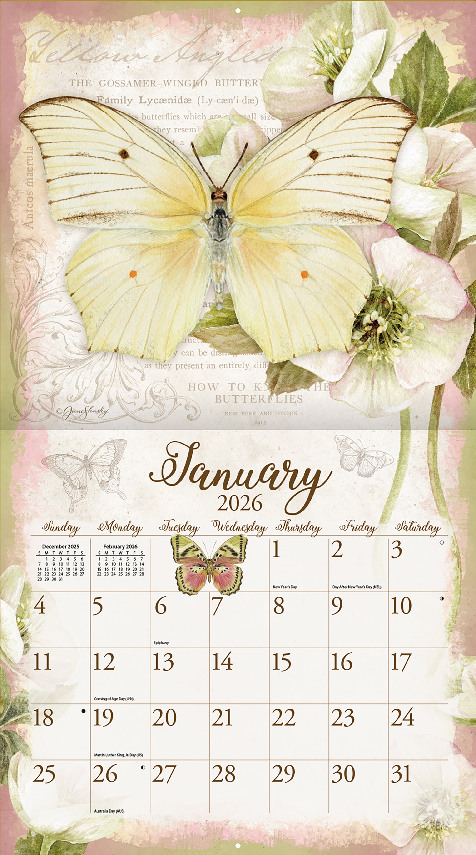 Butterflies 2026 | Wall Calendar