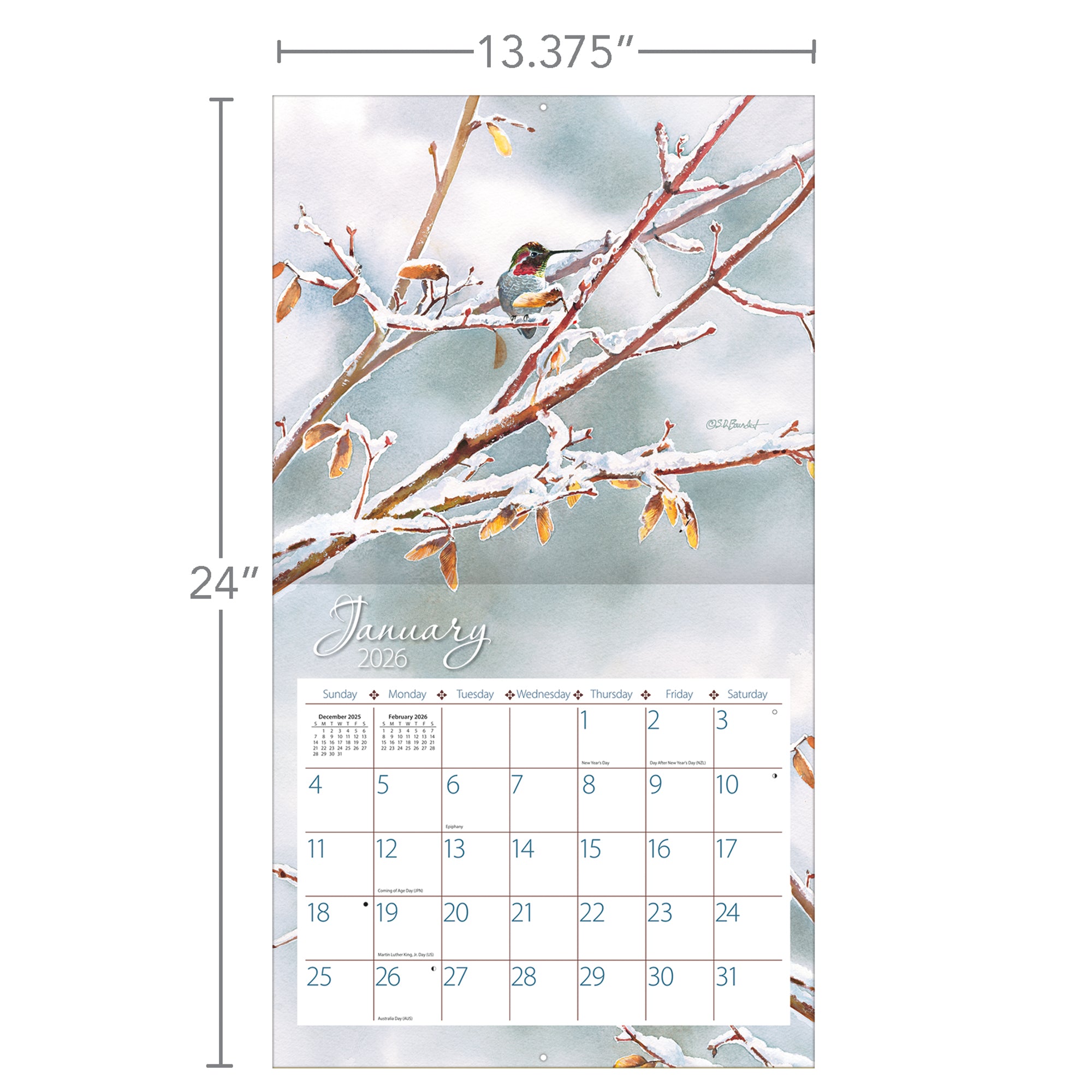 Hummingbirds 2026 | Wall Calendar