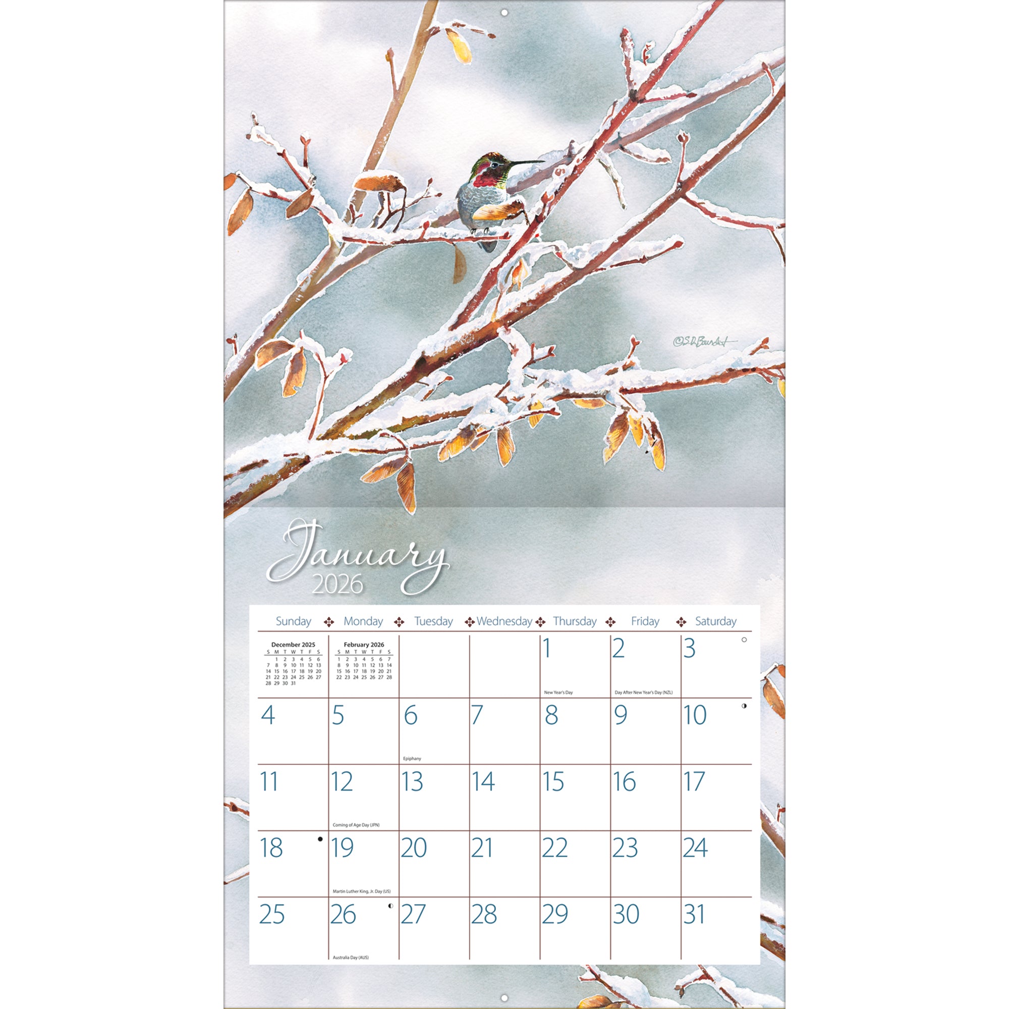 Hummingbirds 2026 | Wall Calendar