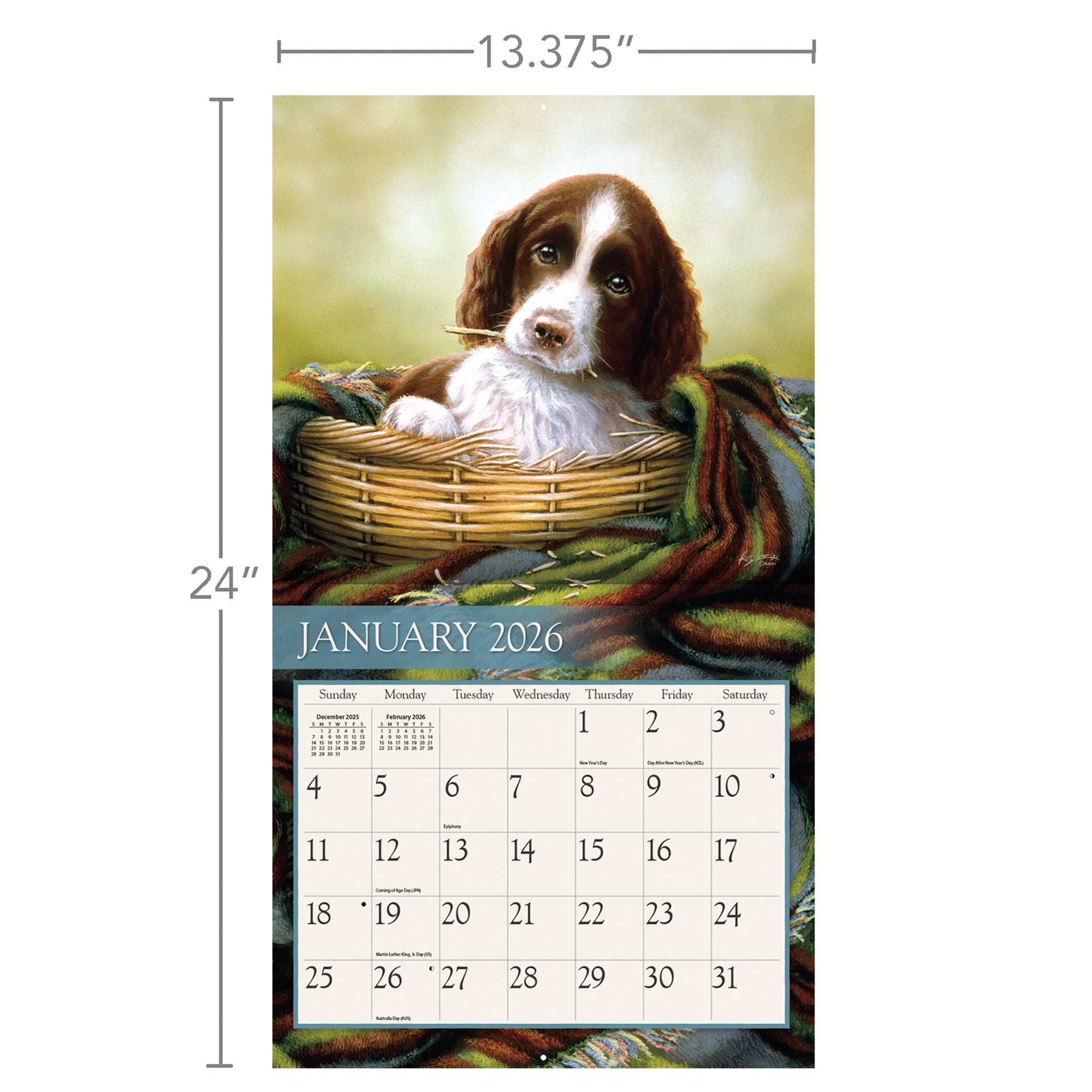Love Of Dogs 2026 | Wall Calendar