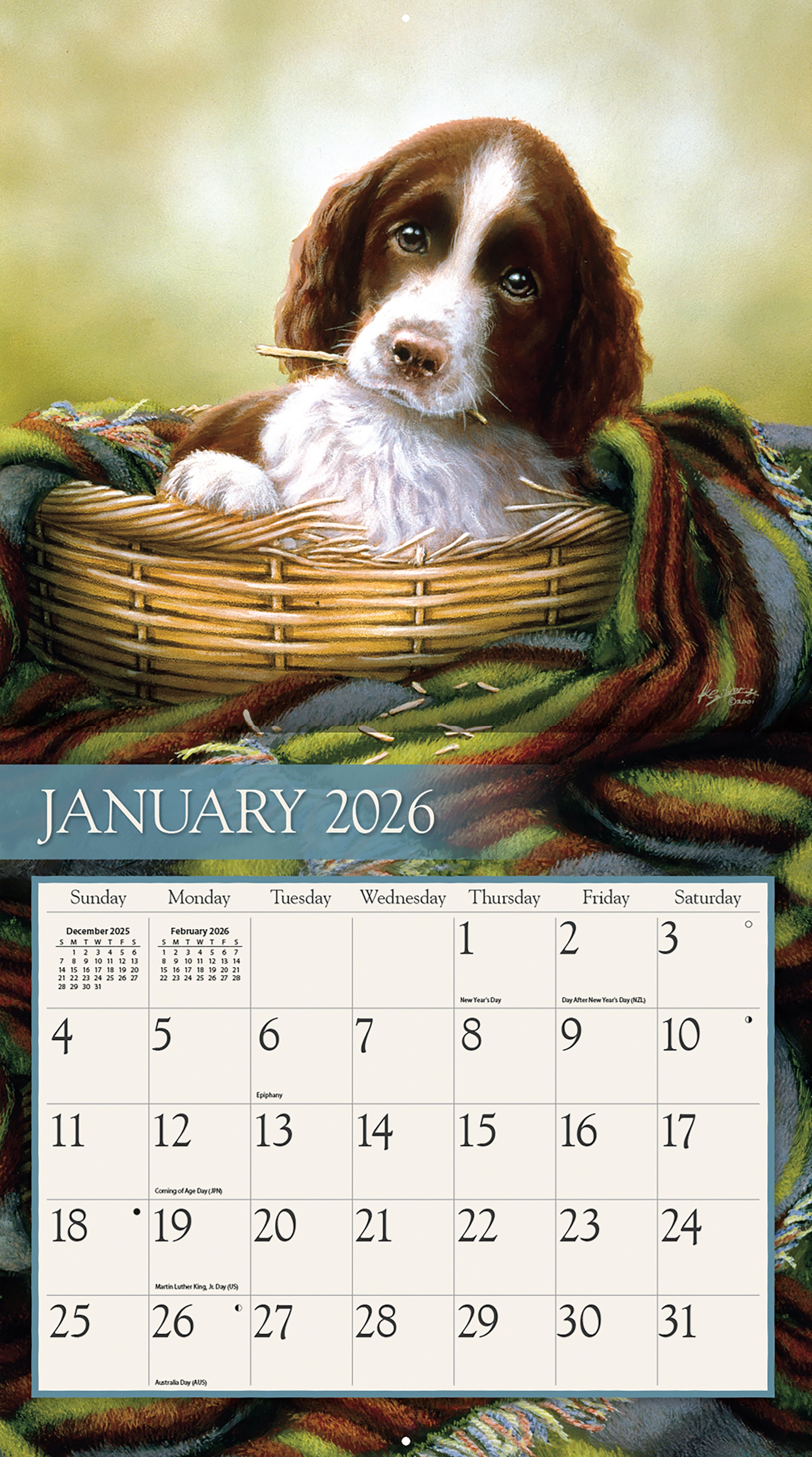 Love Of Dogs 2026 | Wall Calendar