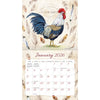 Proud Rooster 2026 | Wall Calendar