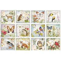 Field Guide 2026 | Wall Calendar